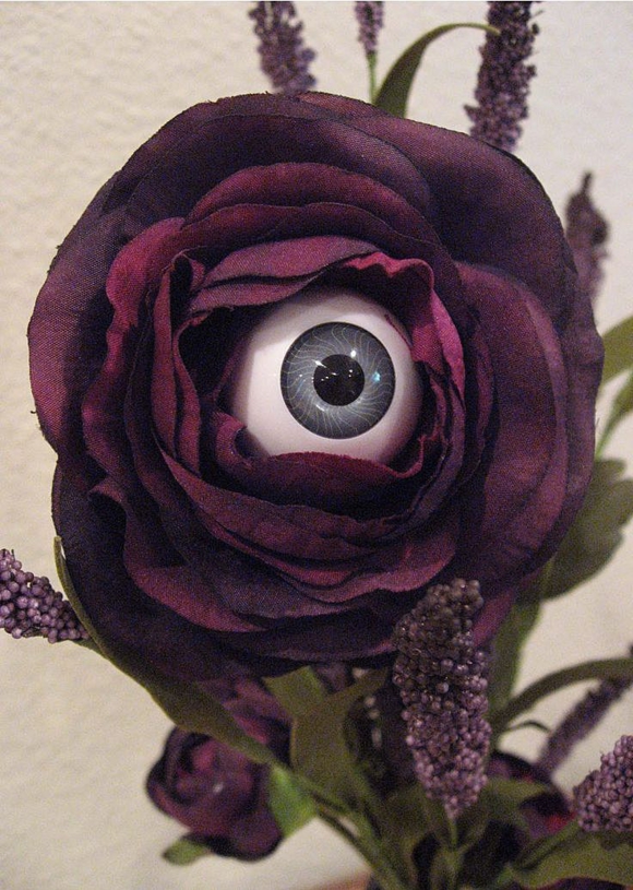Роза с глазом