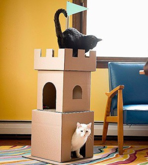 Замок для кота